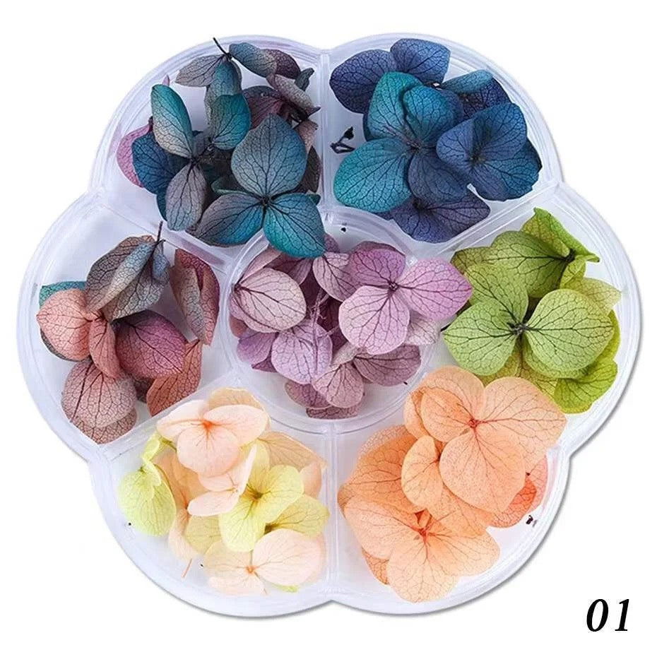 3D Dried Flowers - LB BEAUTY 